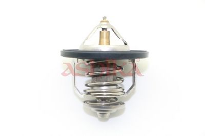 Thermostat, Kühlmittel