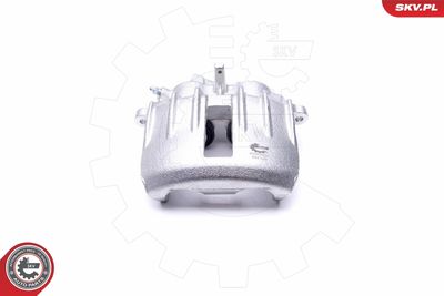 Brake Caliper 46SKV633