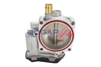 CARCASA CLAPETA BOGAP B6319111 2