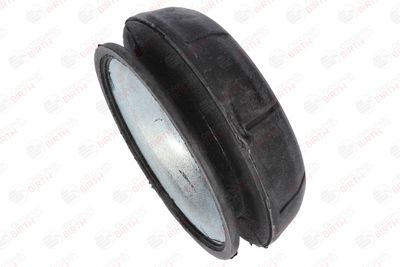 RULMENT SARCINA SUPORT ARC BIRTH 5323 9