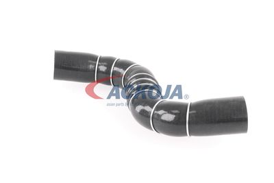 FURTUN EAR SUPRAALIMENTARE ACKOJA A389602 17