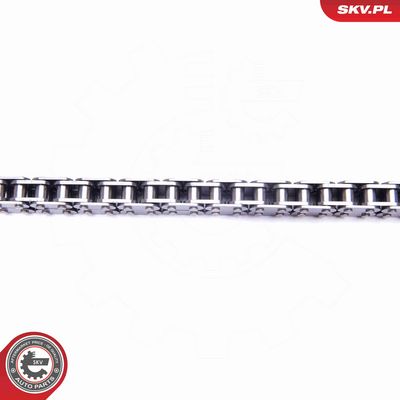 CHIT LANT DE DISTRIBUTIE ESEN SKV 21SKV216 2