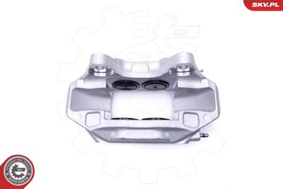 Brake Caliper 42SKV412