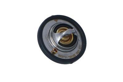 TERMOSTAT LICHID RACIRE NRF 725182 43
