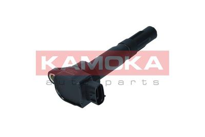 Ignition Coil 7120018