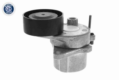 INTINZATOR CUREA CUREA DISTRIBUTIE