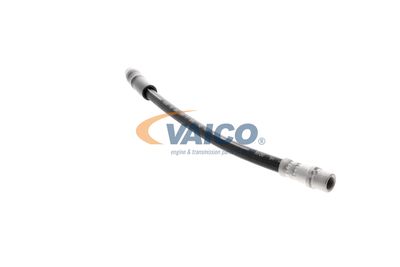 FURTUN FRANA VAICO V250900 43