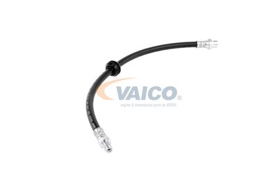 FURTUN FRANA VAICO V204103 42