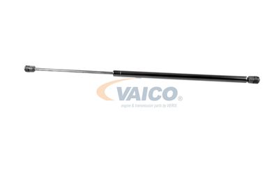 GASFEDER KOFFER-/LADERAUM VAICO V249654 38