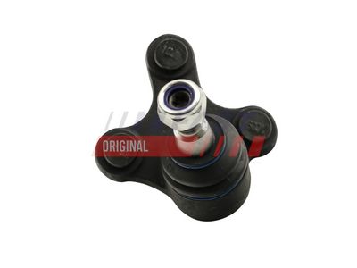ARTICULATIE PARGHIE COT