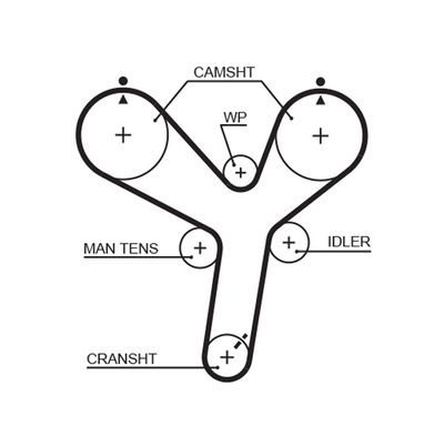 Timing Belt GATES 5536XS
