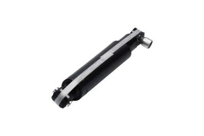 AMORTIZOR Kavo Parts SSA10310 18