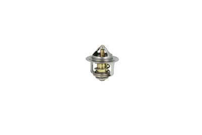 TERMOSTAT LICHID RACIRE NRF 725173 29