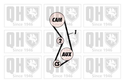 SET CUREA DE DISTRIBUTIE QUINTON HAZELL QBK298 1