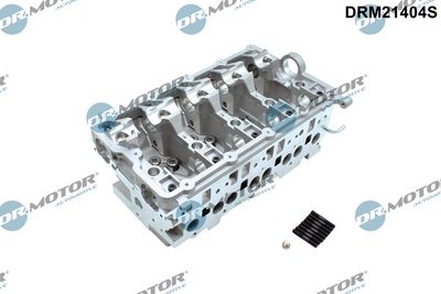 Dr.Motor Automotive Cilindro galvutė