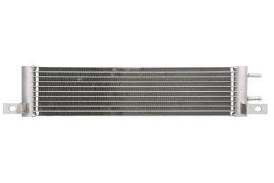 RACITOR COMBUSTIBIL THERMOTEC D4M024TT 1