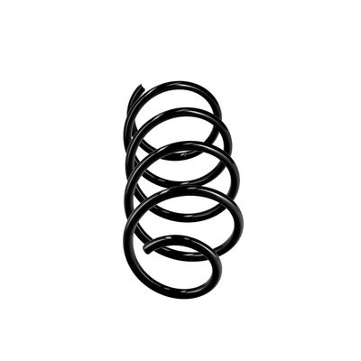 ARC SPIRAL EIBACH R10630 1