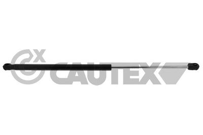 CAUTEX 772729 Амортизатор багажника и капота  для RENAULT MEGANE II универсал (KM0/1_) 1.9 dCi