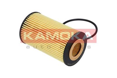 Oil Filter F106001