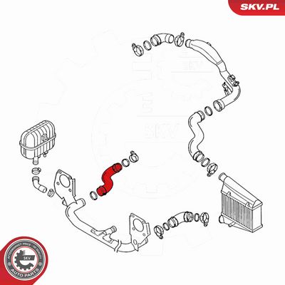 FURTUN EAR SUPRAALIMENTARE ESEN SKV 24SKV014 2