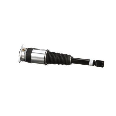 LUFTFEDERBEIN Arnott AS3031 5