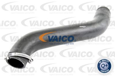 Трубка нагнетаемого воздуха VAICO V10-3781 для VW CRAFTER