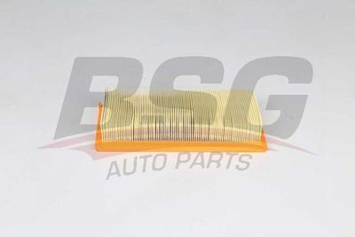 Воздушный фильтр BSG BSG 25-135-013 для FIAT TIPO