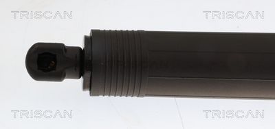 TRISCAN - Vzpera kufra AUDI , 8710 29349