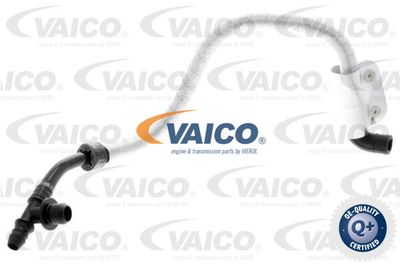 Vakuumslang, bromssystem VAICO V10-3616