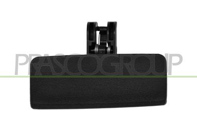 HANDSCHUHFACHSCHLOSS PRASCO FT3428701