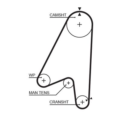 Timing Belt GATES 5239