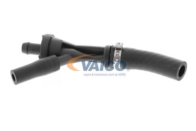 VENTIL LUFTSTEUERUNG-ANSAUGLUFT VAICO V203584 11