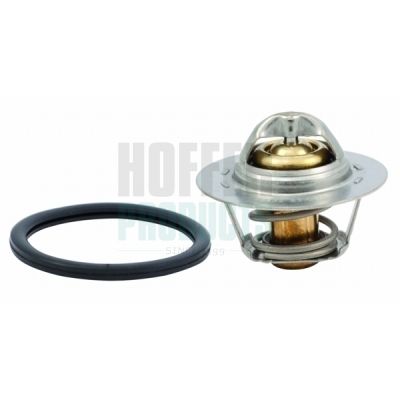 Termostat, chladivo HOFFER 8192465