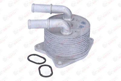 RADIATOR ULEI ULEI MOTOR BIRTH 80874 4