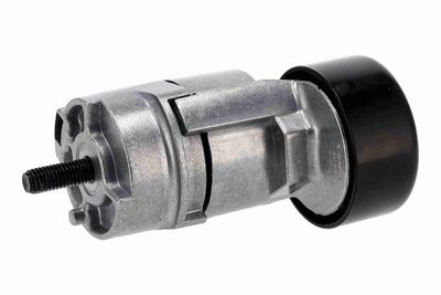 INTINZATOR CUREA CUREA DISTRIBUTIE