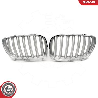 GRILA RADIATOR ESEN SKV 66SKV279 6