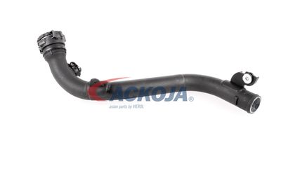 FURTUN EAR SUPRAALIMENTARE ACKOJA A380387 36