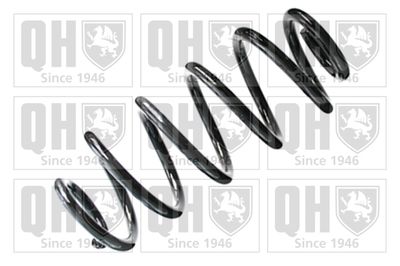 QUINTON HAZELL QCS8331 Пружина подвески  для AUDI TT (Ауди Тт)