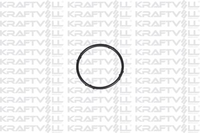 KRAFTVOLL GERMANY 10060382 Турбина для RENAULT SCÉNIC III (JZ0/1_) 1.5 dCi (JZ02, JZ0R) KRAFTVOLL GERMANY 10060382 Турбина для RENAULT SCÉNIC III (JZ0/1_) 1.5 dCi (JZ02, JZ0R)