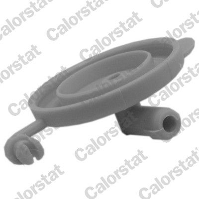 BUSON VAS EXPANSIUNE CALORSTAT by Vernet RC0202 1