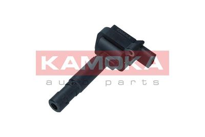 Ignition Coil 7120051