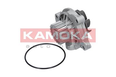 Water Pump, engine cooling T0042