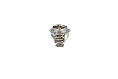 TERMOSTAT LICHID RACIRE NRF 725209 10