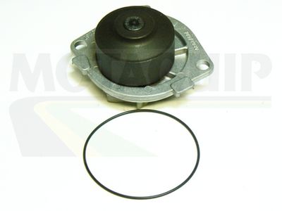 MOTAQUIP VWP714 Помпа (водяной насос)  для FIAT BRAVO (Фиат Браво)
