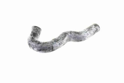 FURTUN RADIATOR VAICO V300227 5