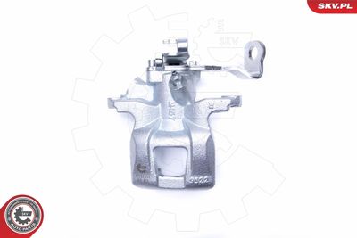 Brake Caliper 44SKV534