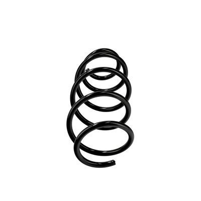 ARC SPIRAL EIBACH R22950 1
