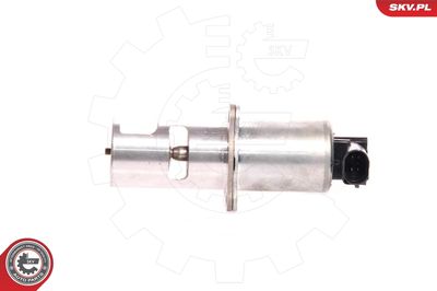 EGR Valve 14SKV010