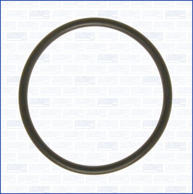 GARNITURA POMPA DE APA