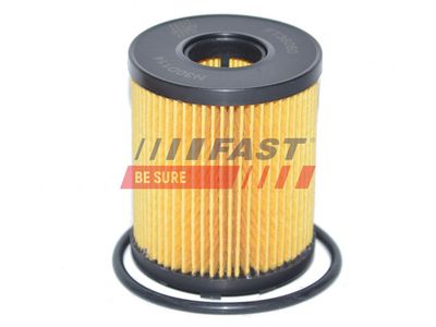 Olejový filtr FAST FT38060